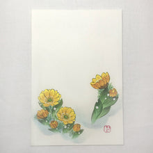 画像をギャラリービューアに読み込む, ポストカード【冬】<br>3枚セット<br>オリジナル/季節の花
