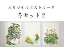 画像をギャラリービューアに読み込む, ポストカード【冬】<br>３枚セット<br>オリジナル／季節の花
