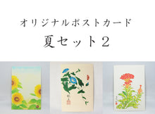 画像をギャラリービューアに読み込む, ポストカード【夏】<br>３枚セット<br>オリジナル／季節の花
