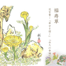 画像をギャラリービューアに読み込む, ポストカード【冬】<br>３枚セット<br>オリジナル／季節の花
