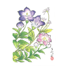 画像をギャラリービューアに読み込む, ポストカード<br>３枚セット【H】<br>絵はがき／福寿草<br>鶏頭／桔梗　
