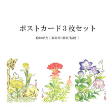 画像をギャラリービューアに読み込む, ポストカード<br>３枚セット【H】<br>絵はがき／福寿草<br>鶏頭／桔梗　
